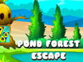 Igra Pond Forest Escape