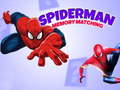 Igra Spiderman Memory Matching