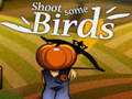 Igra Shoot Some Birds