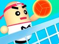 Igra 3D Amazing VolleyBall