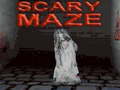 Igra Scary Maze 3D