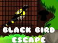 Igra Black Bird Escape