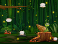 Igra Snail Run