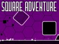 Igra Square Adventure
