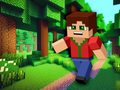 Igra Minicraft