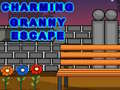 Igra Charming Granny Escape
