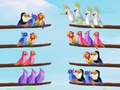 Igra Bird Sort Puzzle