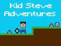 Igra Kid Steve Adventures