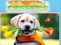 Igra Spot&Differs