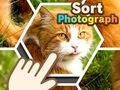 Igra Sort Photograph
