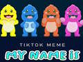 Igra TikTok Meme My Name Is