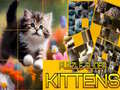 Igra Puzzle Sliding Kittens