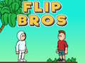 Igra Flip Bros