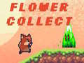 Igra Flower Collect