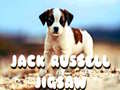 Igra Jack Russell Jigsaw