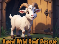 Igra Aged Wild Goat Rescue