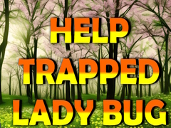 Igra Help Trapped Lady Bug