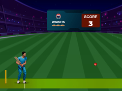 Igra Cricket Night 2