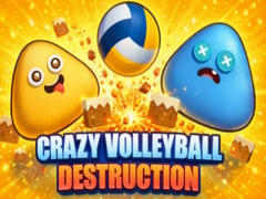 Igra Crazy Volleyball Destruction