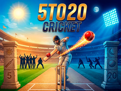 Igra 5TO20 Cricket