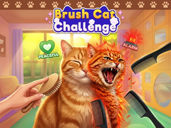 Igra Brush Cat Challenge 