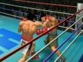 Igre boks. Boxing Online Games 