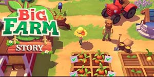 Big Farm Story 